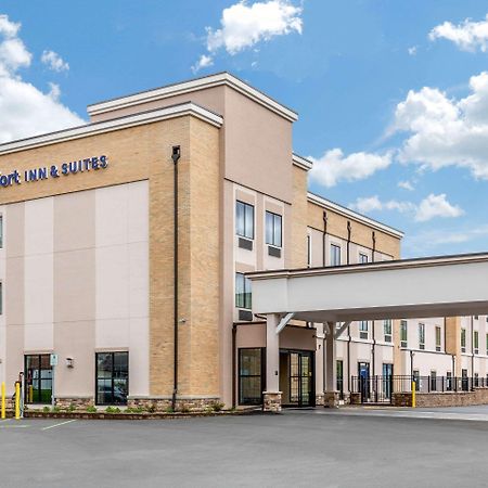 Comfort Inn & Suites Schenectady - Scotia Exterior photo