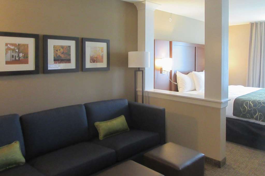 Comfort Inn & Suites Schenectady - Scotia Room photo